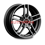 5/114,3/6,5x16 NZ 66,1/40 F-12 ������ �.�. BKF